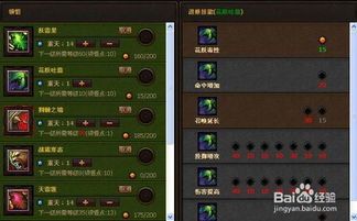 斗战神果子狸加点,全面解析，助你战力飙升