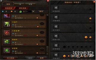 斗战神果子狸加点,全面解析，助你战力飙升