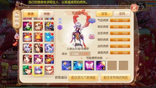 梦幻诛仙圣巫平民加点,打造高效圣巫之路