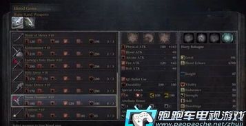 血源诅咒加点推荐,加点攻略，打造最强猎人