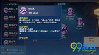 仙剑4仙术完美加点,仙术巅峰，完美加点攻略揭秘