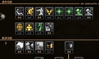 龙君加点,揭秘神秘生物的神秘力量