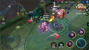 大乱斗小乔出装,小乔出装攻略，华丽舞者变身战场霸主