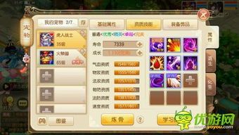 梦幻诛仙手游天音怎么加点,天音门派加点攻略，修炼之道揭秘