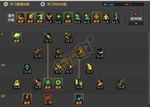 忍者契约加点,神秘力量与忠诚誓言的加点传奇