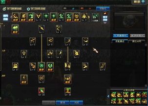 忍者契约加点,神秘力量与忠诚誓言的加点传奇