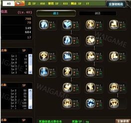 龙之谷 剑圣加点,龙之谷剑圣加点攻略解析