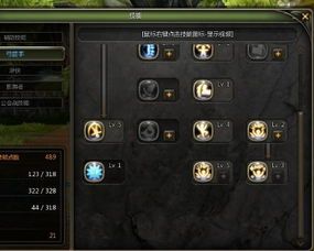 龙之谷 影 加点,影——探寻神秘影域，揭开奇幻世界的神秘面纱