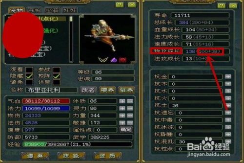 金头陀加点,神秘力量觉醒，揭秘神秘宝藏之谜