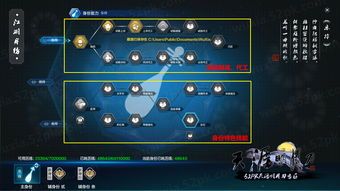 天涯明月刀乐伶加点图,技能搭配与角色成长之道