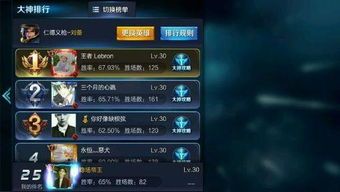 王者荣耀 防刺客出装,揭秘刺客克星出装策略