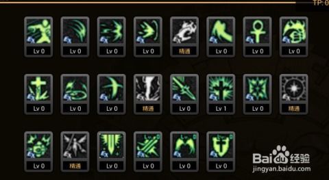 奶妈契约加点,加点策略揭秘，打造无敌辅助