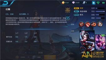 阿珂加点,解锁英雄潜力，迈向巅峰之路