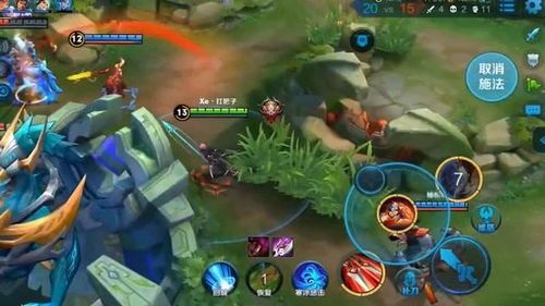 阿珂加点,解锁英雄潜力，迈向巅峰之路