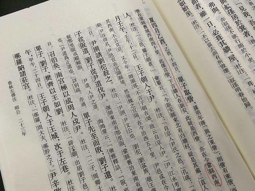 文不加点是什么意思,一气呵成的大师之作