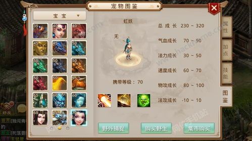 问道虹妖加点,打造无敌虹妖，轻松征服副本