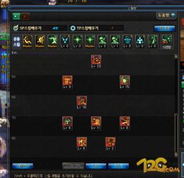 满级的技能加点,打造无敌游戏角色