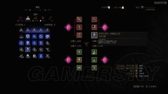 猫学派 加点,揭秘猫咪的神秘智慧与独特习性