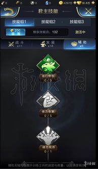 乱世王者技能怎么加点,打造无敌战神之路