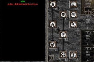 暗黑破坏神圣骑士加点,神圣骑士加点攻略，力量与荣耀的完美融合