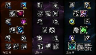 龙龟加点天赋,揭秘神秘生物的战斗潜能