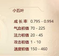 叶加点,探寻自然与生活的和谐交融