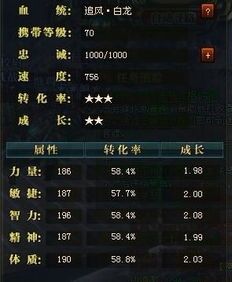 御龙在天 银枪加点,御龙在天加点攻略解析