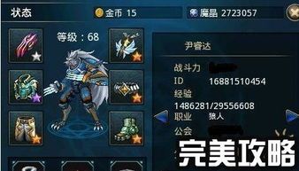 时空猎人出装,装备搭配攻略，打造最强战力