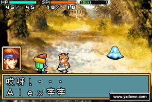 光明之魂2格斗家加点