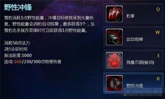 英雄之刃雪豹出装,英雄之刃中的雪豹装备攻略解析