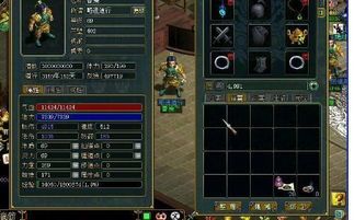 问道血婴怎么加点好,高效加点攻略，打造强力输出