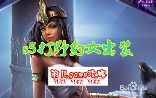 豹女出装打野出装