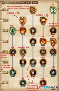 赤犬加点攻略,全面解析，助你战力飙升