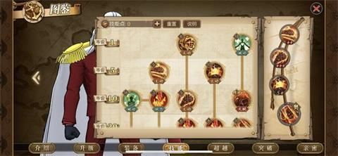 赤犬加点攻略,全面解析，助你战力飙升