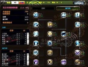 龙之谷魔导师刷图加点,打造高效输出利器