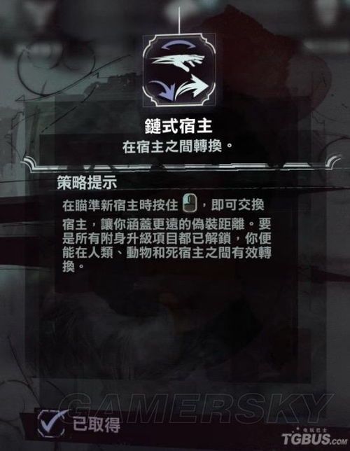 羞耻2加点,揭开人性阴暗面的心灵救赎之旅