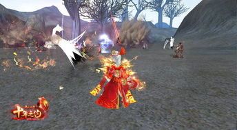 武林外传花雨技能加点