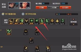 魔枪士征战者加点,加点策略解析与实战攻略