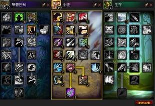 魔兽猎人天赋加点,解锁猎人之神力