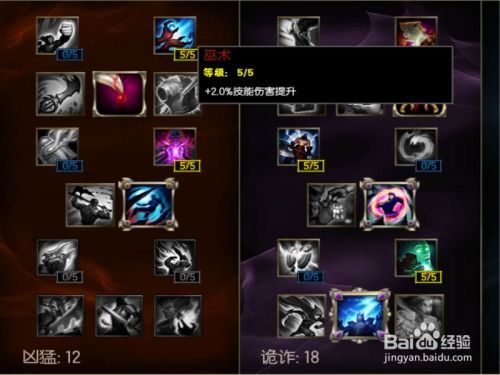 维克兹加点,解锁英雄潜力，打造无敌战场霸主