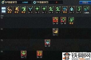 女圣骑士技能加点,打造无敌战场霸主