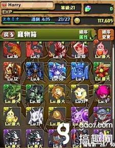 合成动物升级加点,升级加点策略全解析 合成动物升级加点,升级加点策略全解析