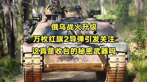 红旗升级加点,解锁全新战斗力的奥秘解析