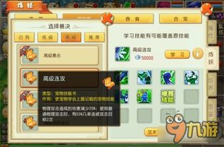 攻宠怎么加点,打造无敌战斗力的核心秘籍