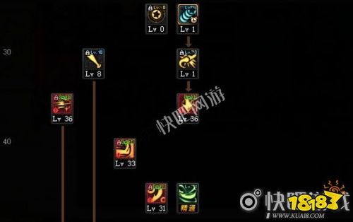 dnf斗萝加点,揭秘DNF斗萝职业加点技巧与策略