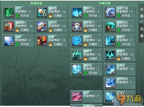 征途2技能加点,打造最强战力，征战沙场