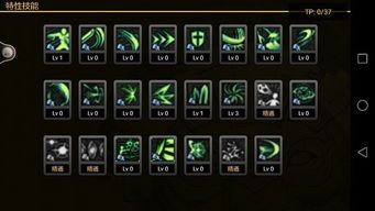 魅影加点,揭秘神秘英雄的进阶之路