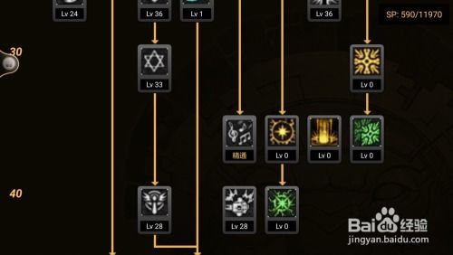 圣职者的技能加点,揭秘圣职者技能加点之道