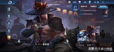 少侠夏侯出装铭文,铭文搭配下的战场霸主 少侠夏侯出装铭文,铭文搭配下的战场霸主