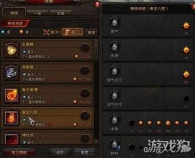 密传拳加点,传承千年的神秘拳法揭秘